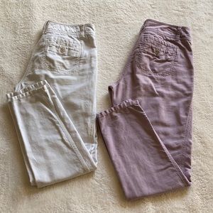 LOFT Bundle of Pants